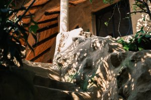 valle-mistico-hotel-boutique-tepoztlan-morelos_agua-1